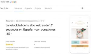 Ejemplo de velocidad TestGoogle