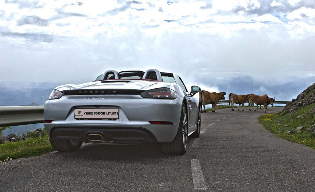 Porsche 718 Spyder